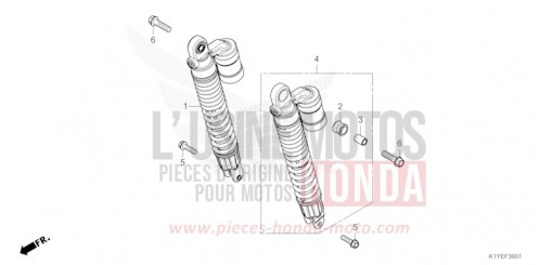 KISSEN, HINTEN (2) WW125SS de 2025
